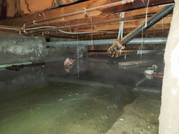 Best Local water damage restoration  in Sayreville, NJ