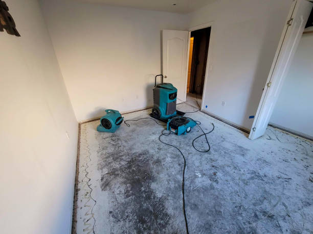 Best Water damage cleanup near me  in Sayreville, NJ