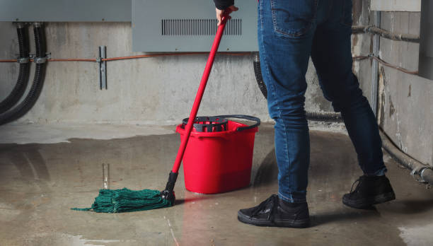 Best Ceiling water damage repair  in Sayreville, NJ