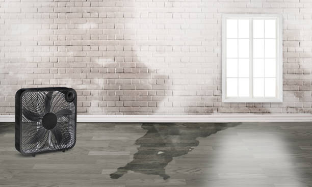Best Carpet water damage restoration  in Sayreville, NJ