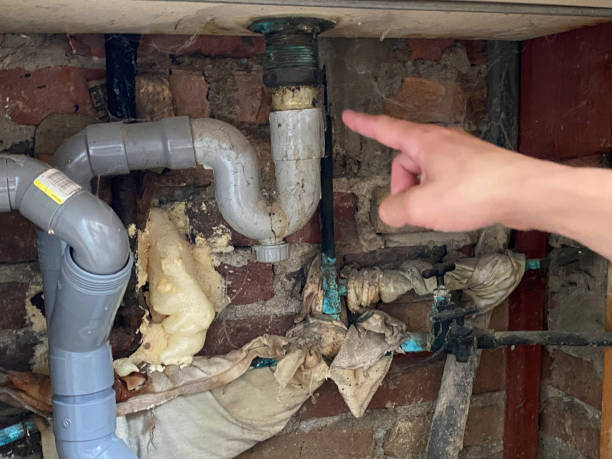Best Water damage restoration near me  in Sayreville, NJ