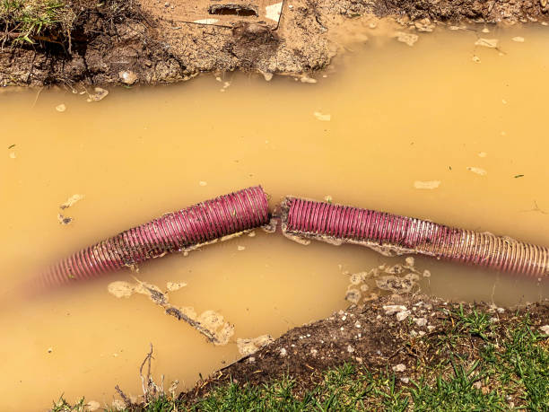 Best Flood damage cleanup  in Sayreville, NJ